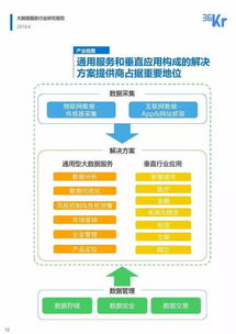大数据服务行业研究报告