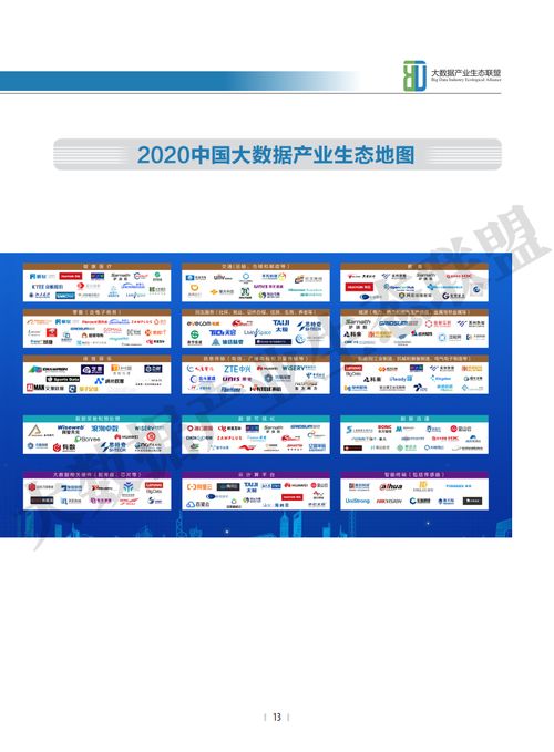 《2020中国大数据产业发展白皮书》 解析大数据服务新格局与生态联盟的战略角色